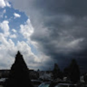 Meet your Posher, Angelina